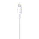 Apple Lightning To USB Cable 1m