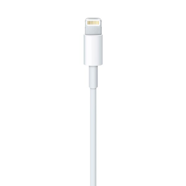 Apple Lightning To USB Cable 1m