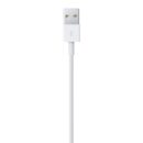 Apple Lightning To USB Cable 1m