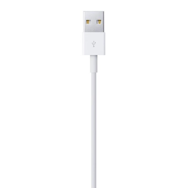 Apple Lightning To USB Cable 1m