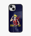 one piece glass case