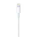 Apple Lightning To USB Cable 1m